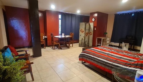 Business Apartment, 1 Queen Bed