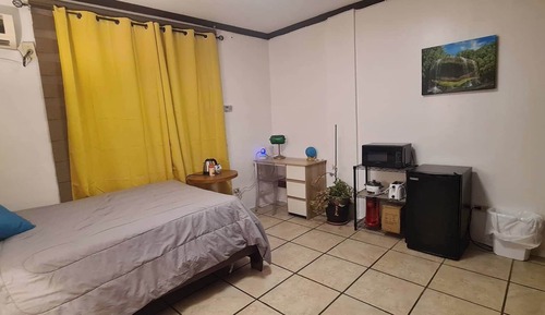 Basic Apartment