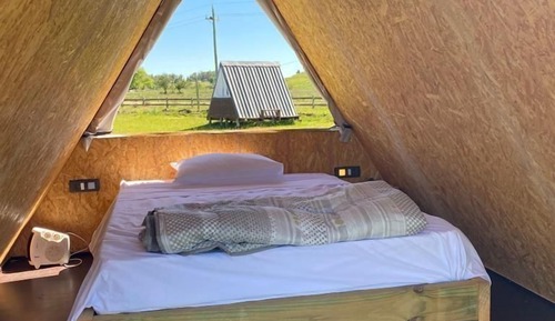 Basic Tent