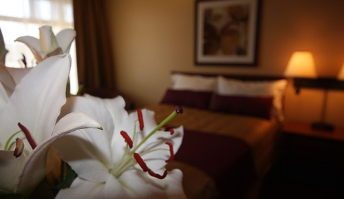 Classic Room, 1 Queen Bed