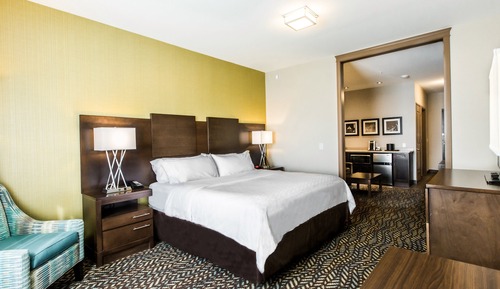 Suite, 1 King Bed with Sofa bed