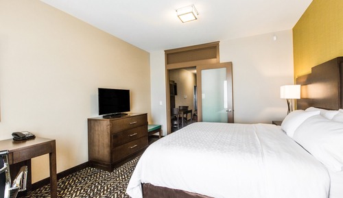 Suite, 1 King Bed with Sofa bed (Cooktop)