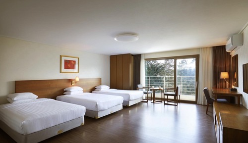 Triple Room, Balcony