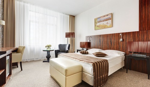 Superior Single Room