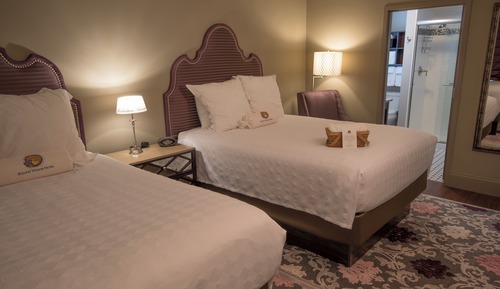 Deluxe Double or Twin Room