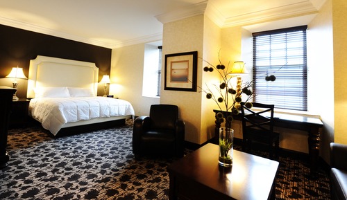 Suite, 1 King Bed with Sofa bed