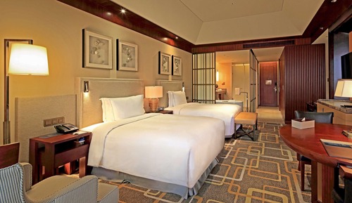TWIN EXECUTIVE ROOM WITH LOUNGE ACCESS