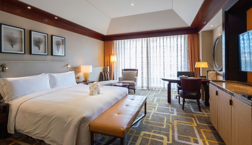 KING ONE BEDROOM DELUXE SUITE WITH LOUNGE ACCESS