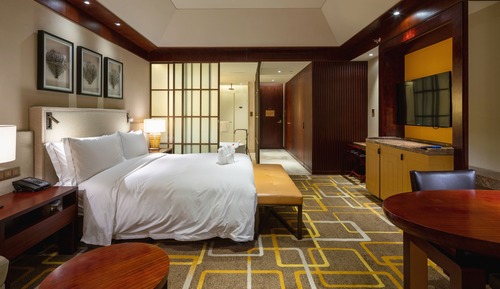KING GUEST ROOM WITH GARDEN VIEW