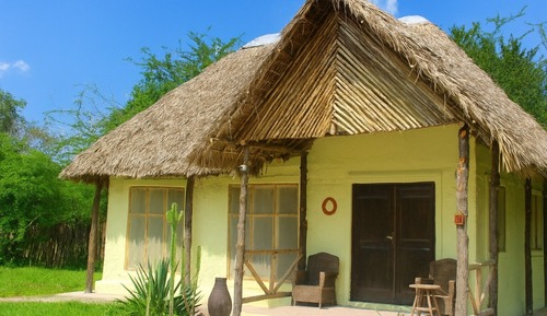 Superior Bungalow, Multiple Beds, Pool View