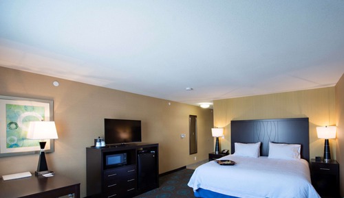 Room, 1 King Bed, Accessible, Bathtub