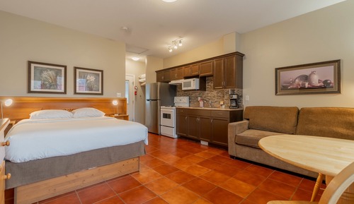 Studio 1 Queen Bed and 1 Double Sofa Bed