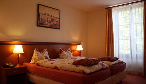 Standard Double or Twin Room (Single Use)