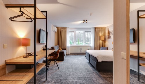 Double Room, 1 King Bed with Sofa bed (4 Persons)