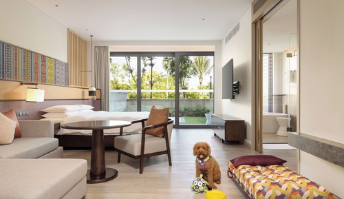 1 King Bed Dog Friendly Courtyard Deluxe