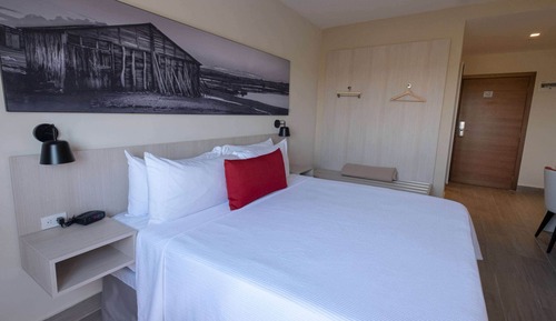 Business Room, 1 King Bed, Accessible, Non Smoking (Roll-In Shower)