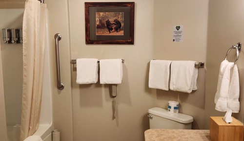 Room, 2 Queen Beds (Queen-Pet Friendly)