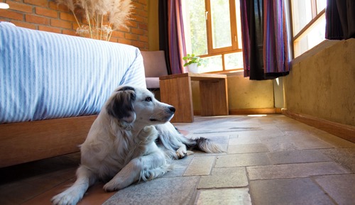 Romantic Double Room