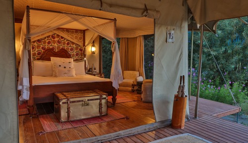 Presidential Tent, Patio (Suite)