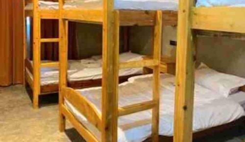 Shared Dormitory