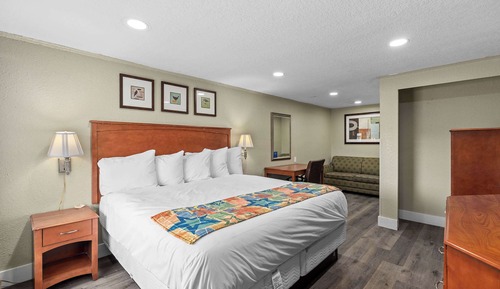 Room, 1 King Bed, Non Smoking