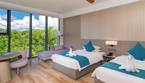 Superior Mountain View Room