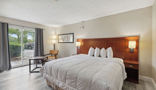 Classic Single Room, 1 King Bed