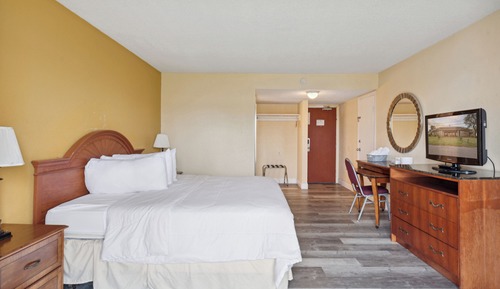 Basic Single Room, 1 King Bed