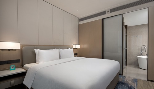 Business Room, 1 King Bed, Non Smoking