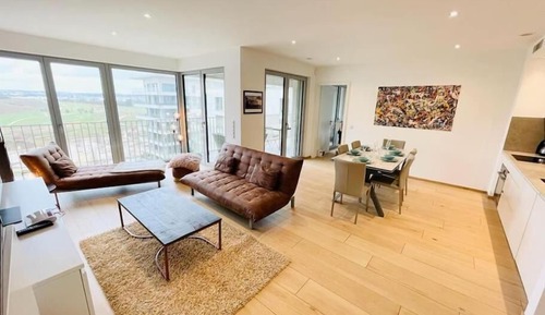 Deluxe Apartment