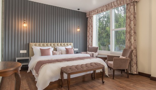 Deluxe Room, Mountain View