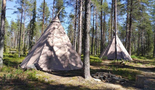 Economy Tent