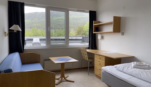 Basic Single Room