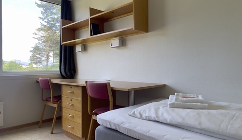 Basic Twin Room