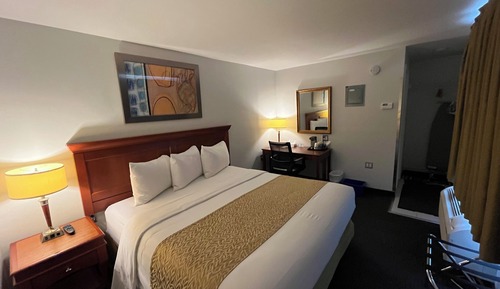 Room, 1 King Bed