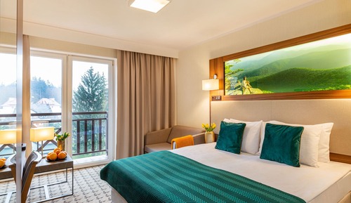 Comfort Double or Twin Room