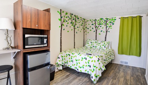 Basic Room, 1 Double Bed, Non Smoking