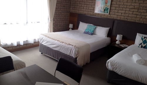 Basic Studio, Multiple Beds