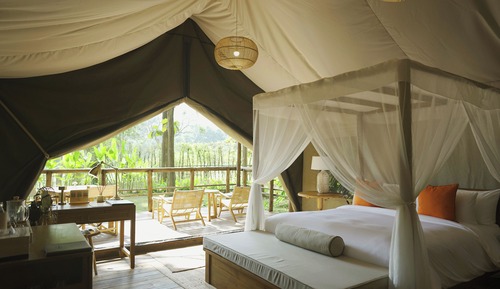 Tent, 1 King Bed, Mountain View