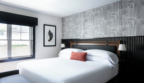 Suite, 1 King Bed with Sofa bed