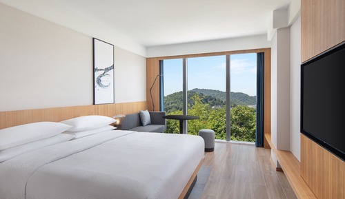 Standard Room, 1 King Bed, Mountain View