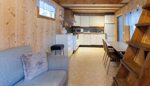 Wolverine Loft Cabin (animals allowed)