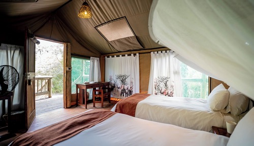 Tent