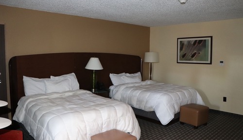 Standard Double Room