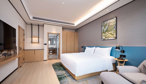 Premium Suite, 1 King Bed
