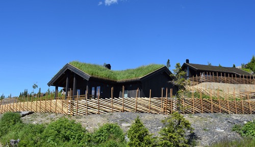 Family Cabin, 3 Bedrooms