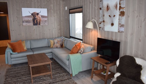 Family Cabin (Vestlia 31)