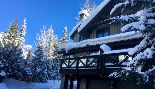 Townhome, Multiple Beds (Spacious Town Home with Private Hot T)