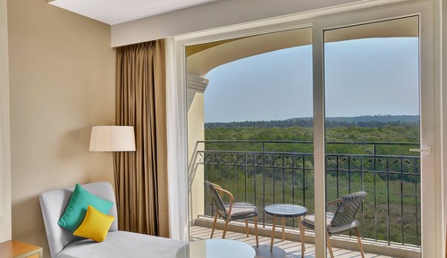 Premium Room, 1 King Bed, Balcony