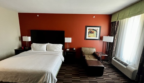 Standard Room, 1 King Bed, Refrigerator